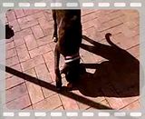 Rawegg.flv video by rubyboxer
