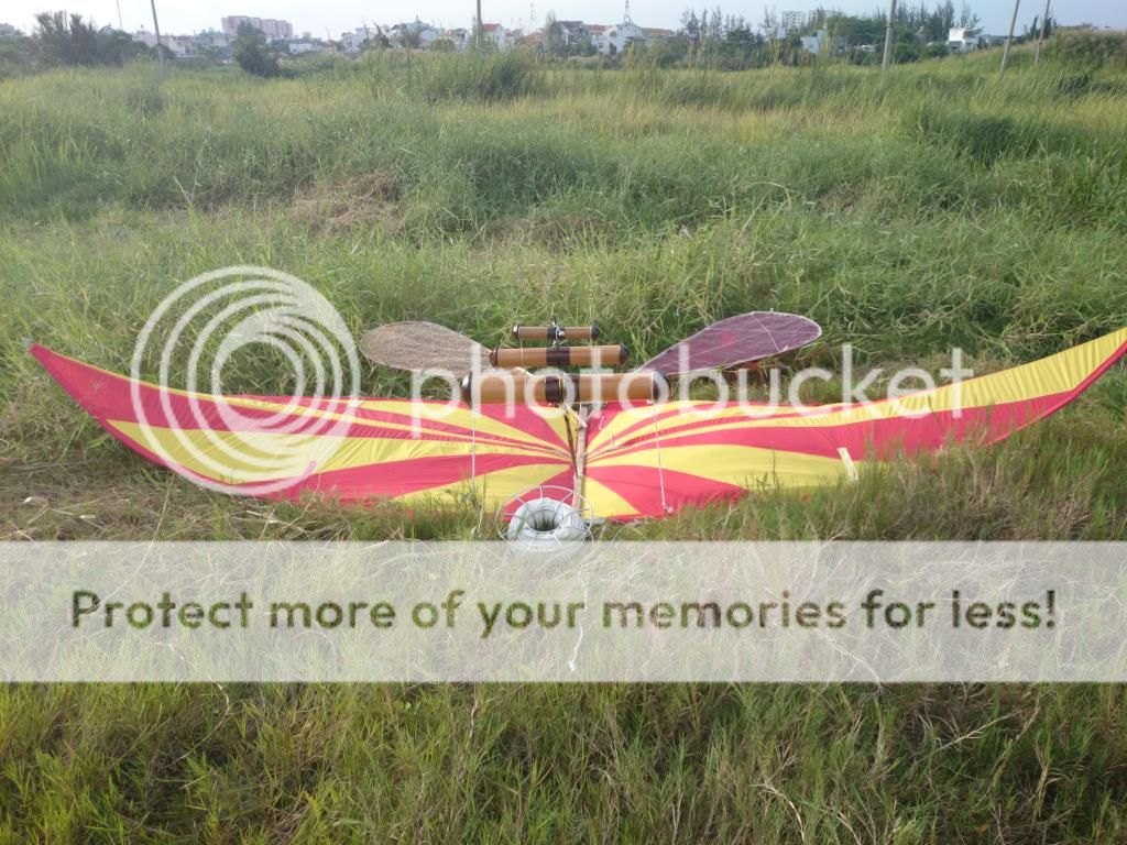 diều cánh cốc diều sáo