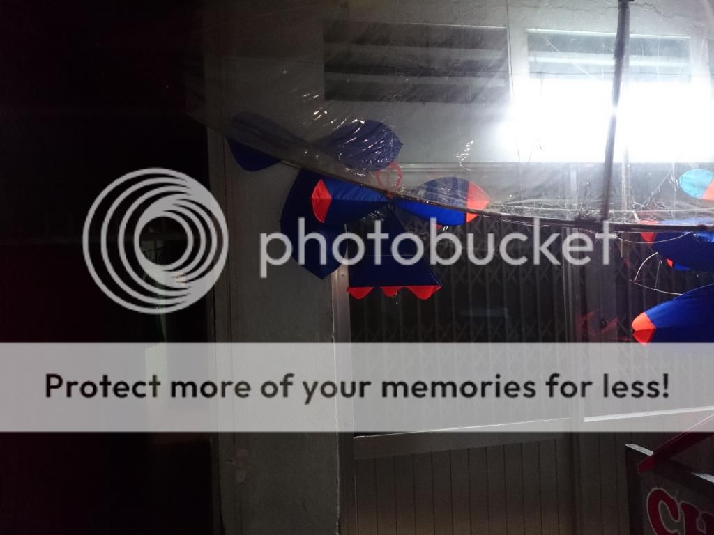 diều cánh cốc diều sáo - 2