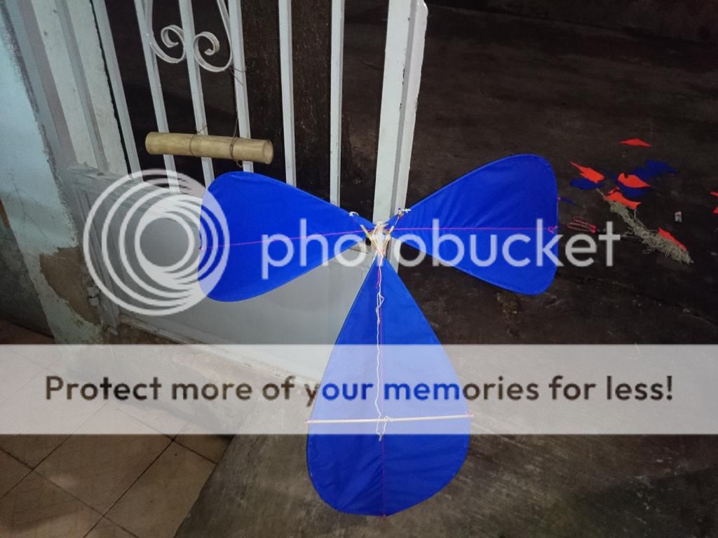 bán diều sáo diều cánh cung cánh cốc - 3