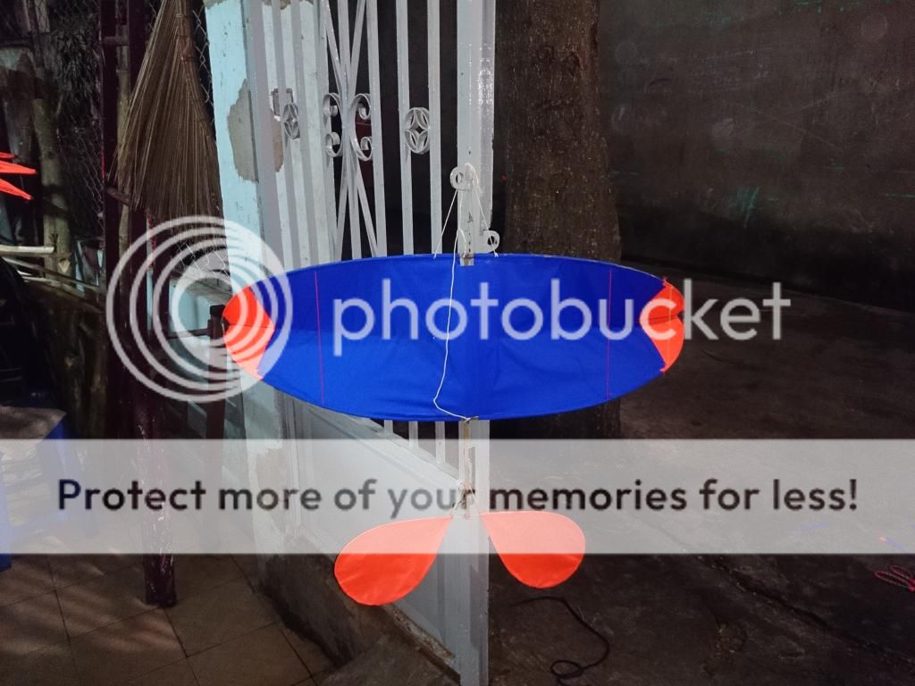 diều cánh cốc diều sáo - 1