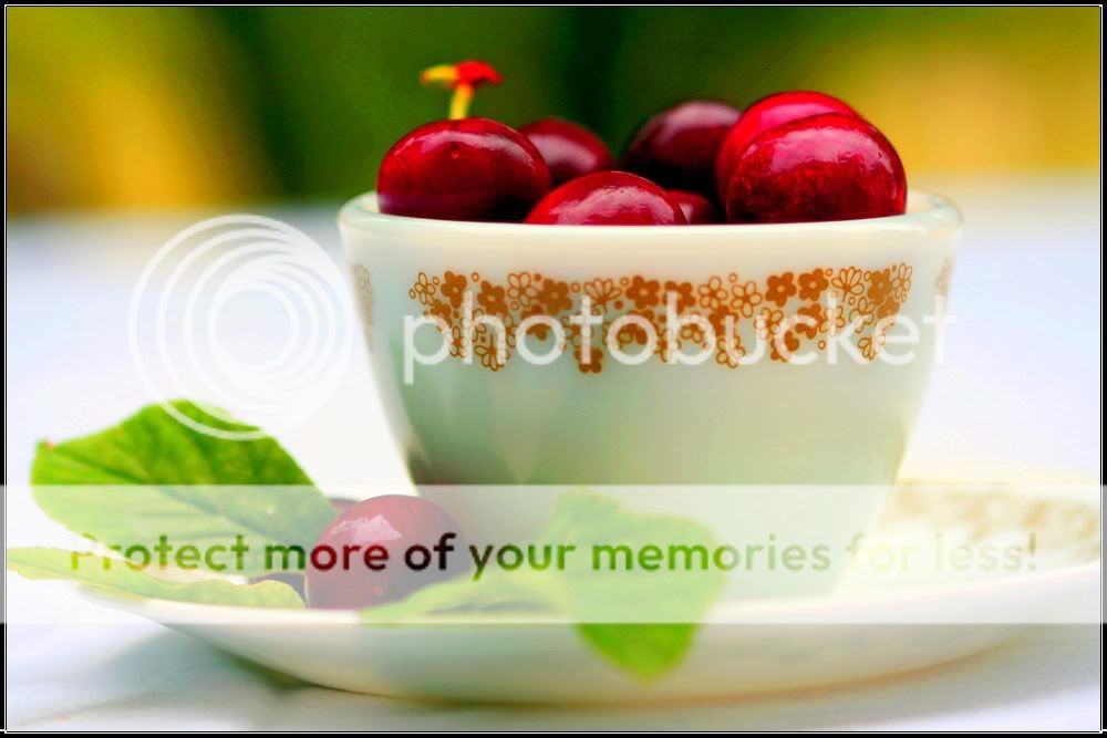 Make Your Own Restaurant Menu