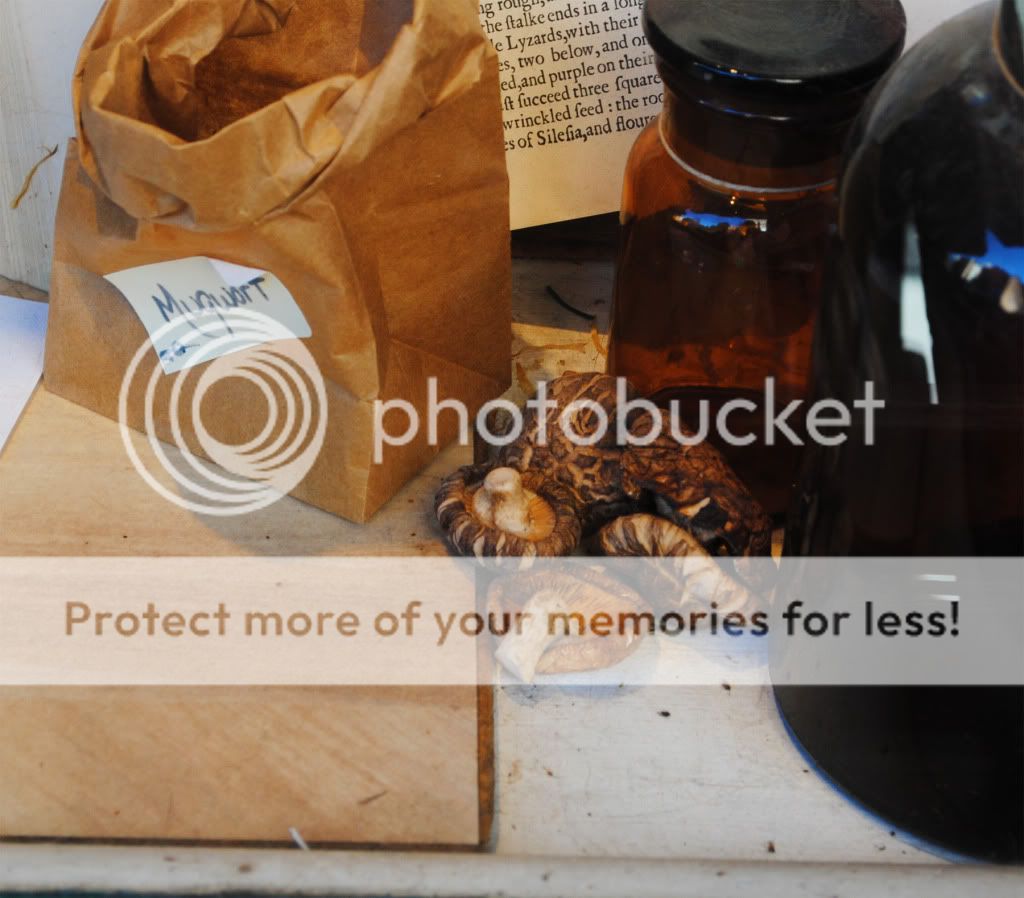 double double toil and trouble