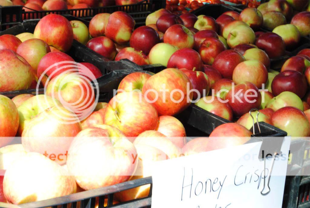 honey crisp