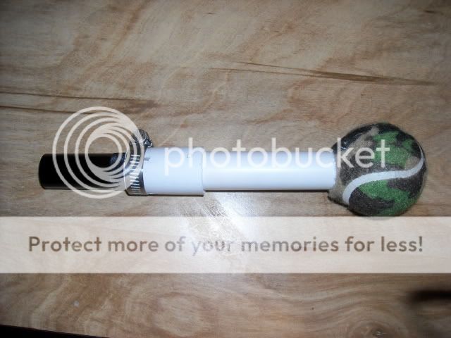 Posted Image