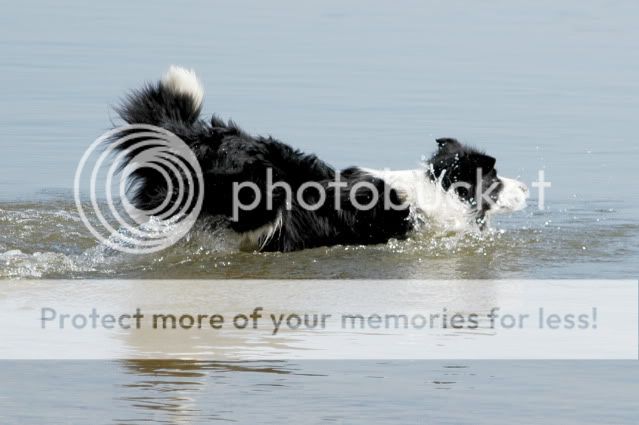 DSC_1068.jpg