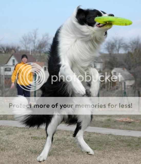 DSC_0114.jpg