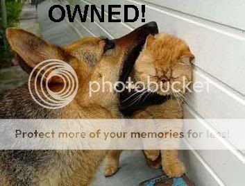 owned_1000gif.jpg