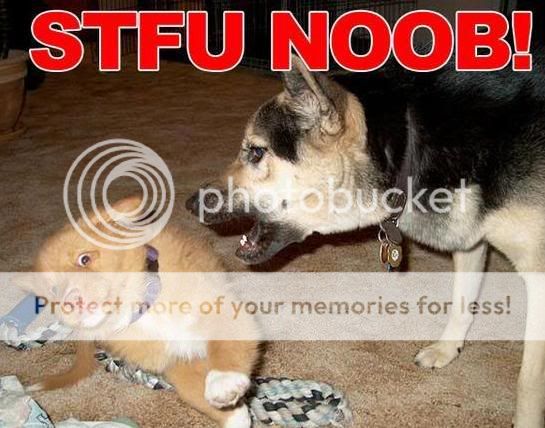 stfu_noob.jpg