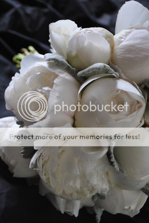 flowers white peonies 2014