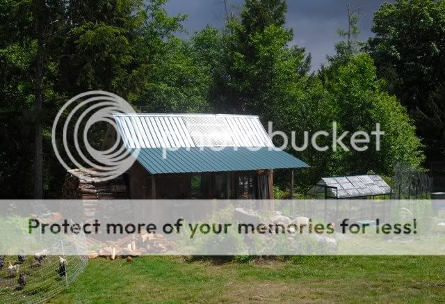 Free (or almost free) projects - pic heavy - Homesteading Questions