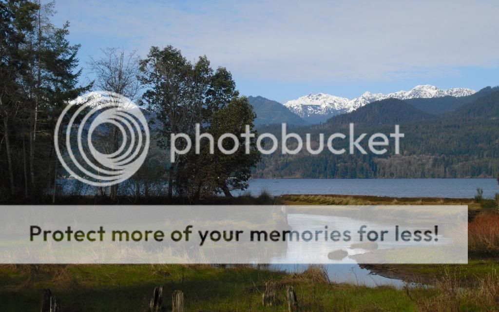 Looking to move to WA. Guidance needed. - Homesteading Questions