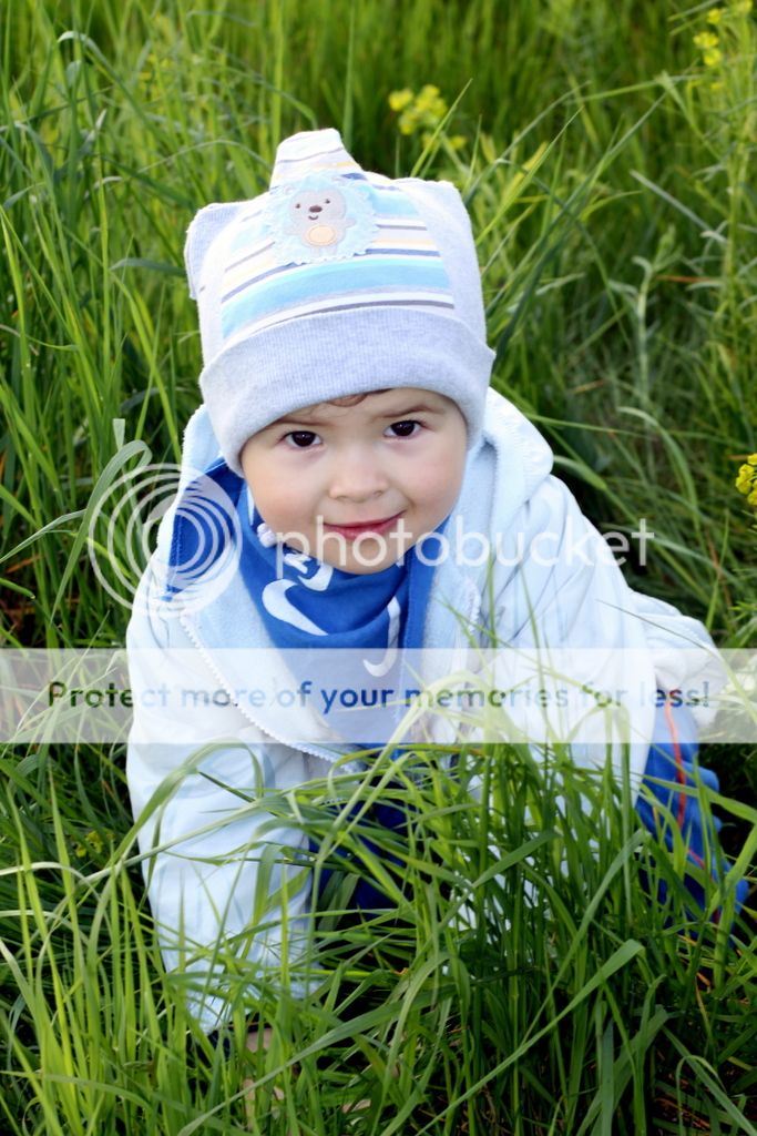 photo IMG_4722_zpsae2c1faf.jpg