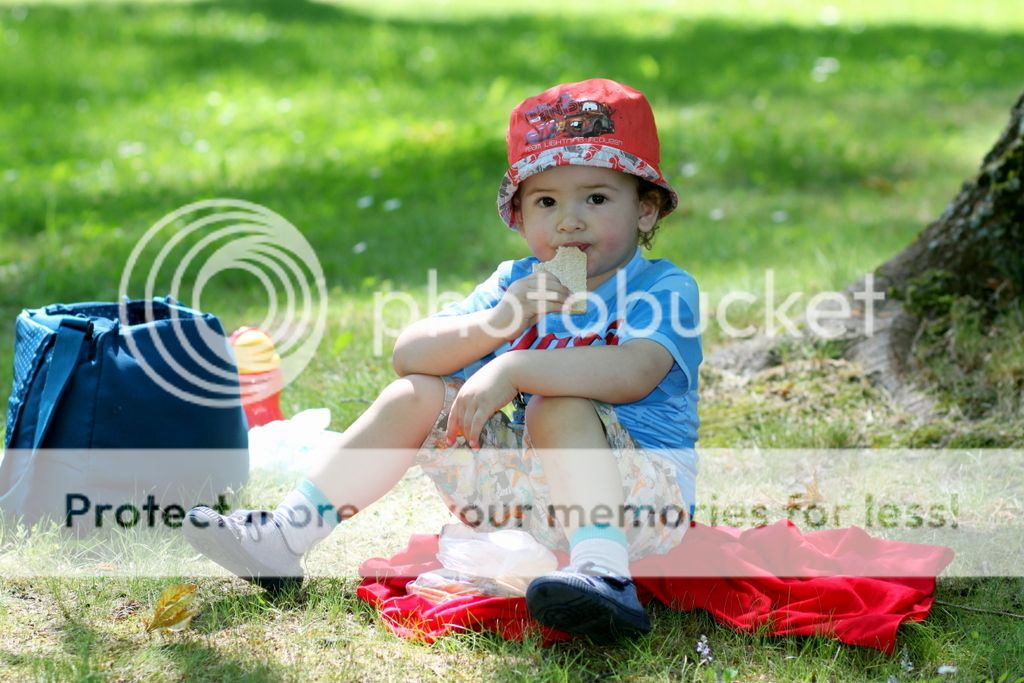 photo IMG_5040_zpsafb56dcb.jpg