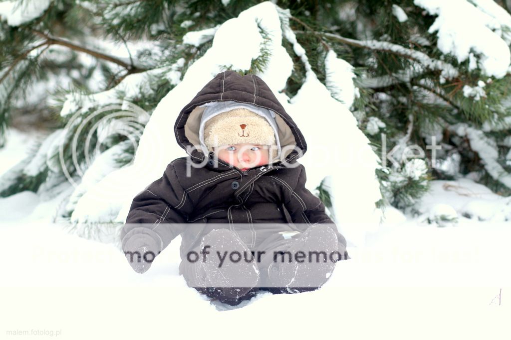 m photo IMG_6279_zps68b8bf49.jpg