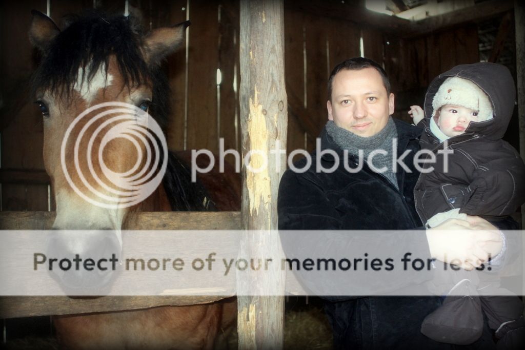 m photo IMG_6560_zpsbea46776.jpg