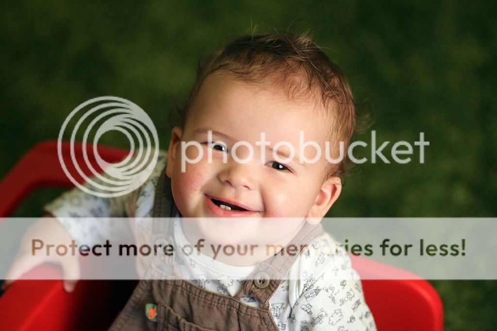 m photo IMG_6689_zpsb41ab656.jpg
