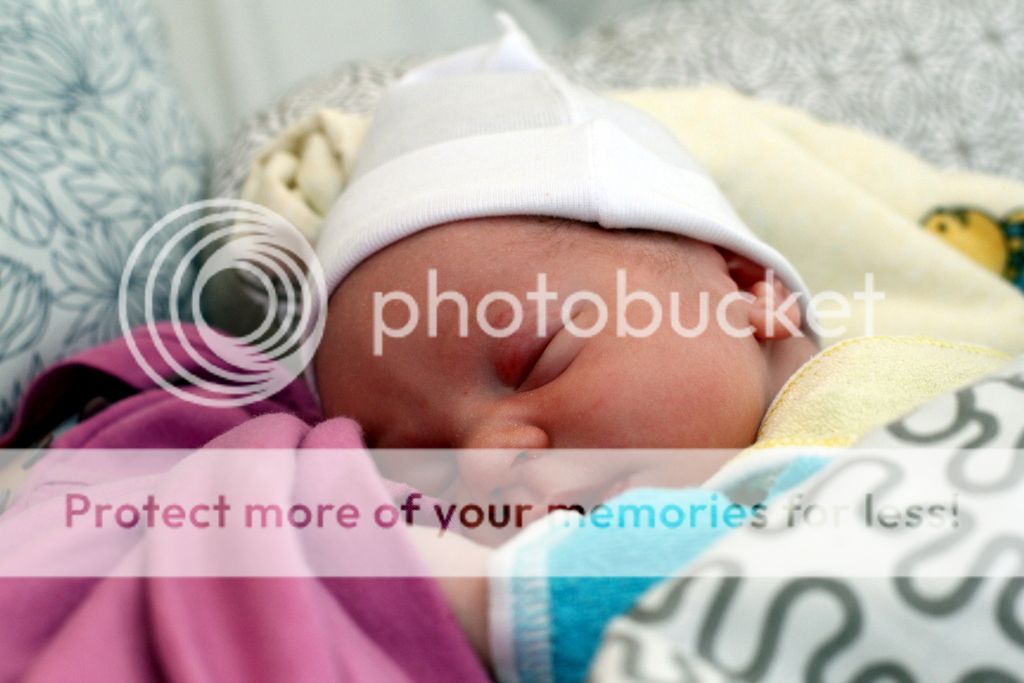 photo IMG_6914_zpsovs8skrm.jpg