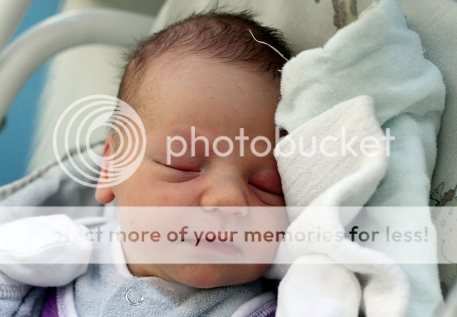photo IMG_6916_zpsdcpq7f3l.jpg