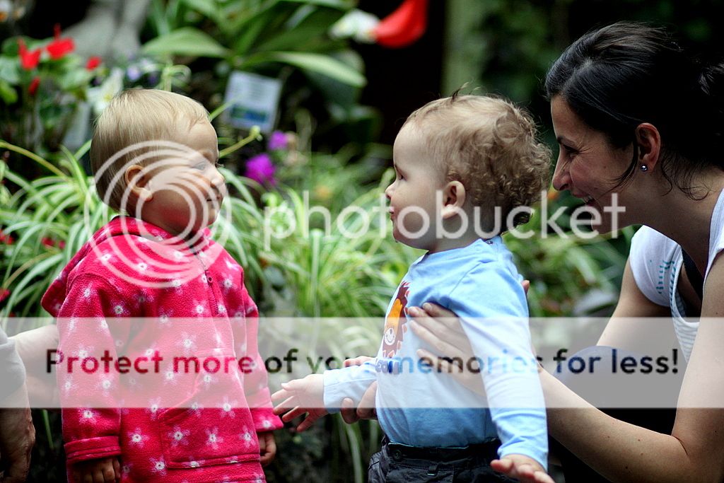 . photo IMG_7225_zps9a707d53.jpg