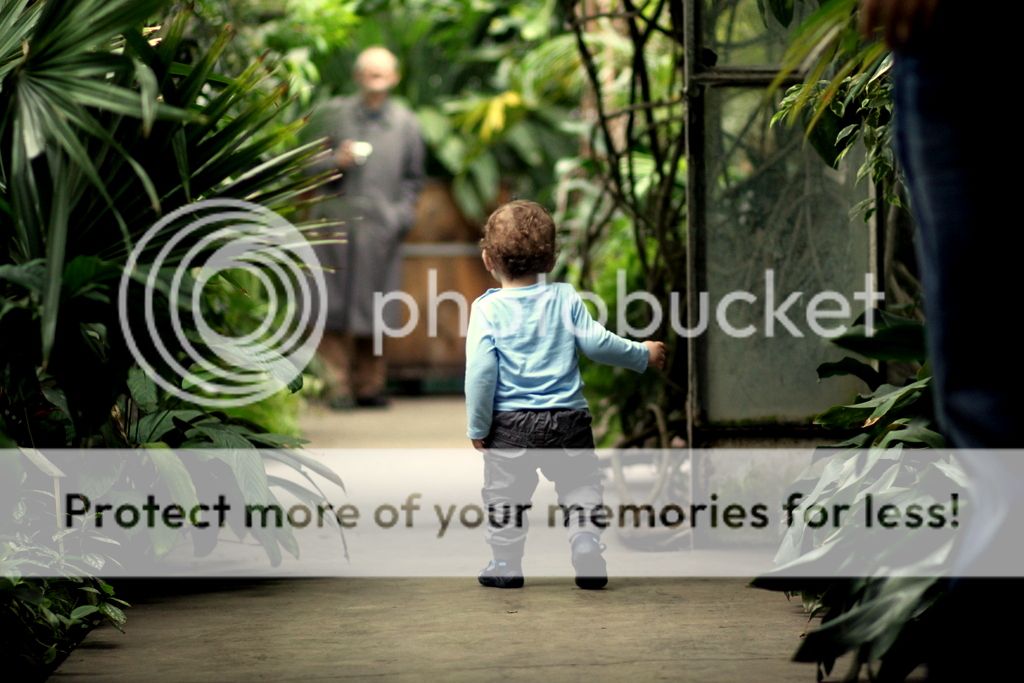 . photo IMG_7251_zps4a58b57b.jpg