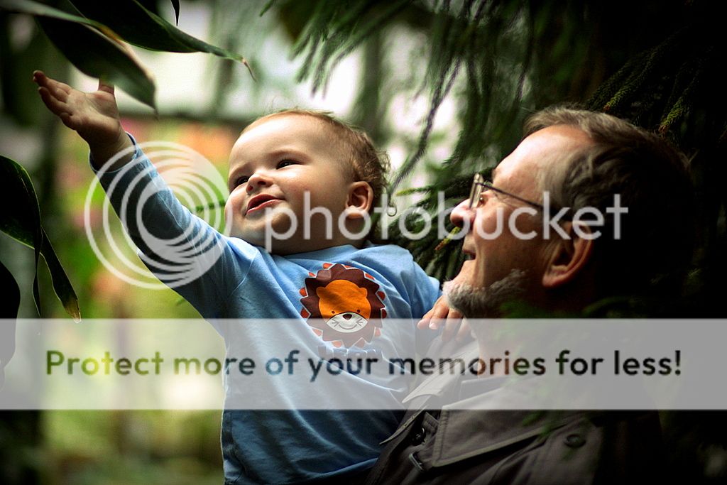 . photo IMG_7308_zps20bb0ec8.jpg