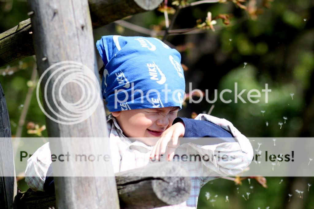 photo IMG_7437_zpsgmvz6cay.jpg