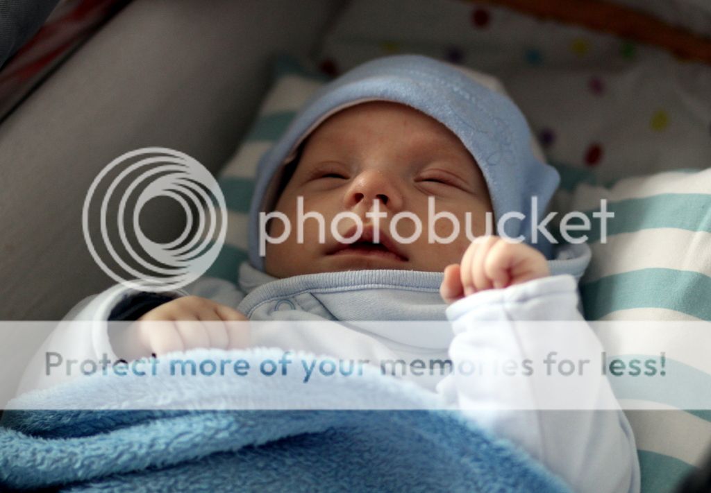 photo IMG_7677_zpsv9z9yxnl.jpg