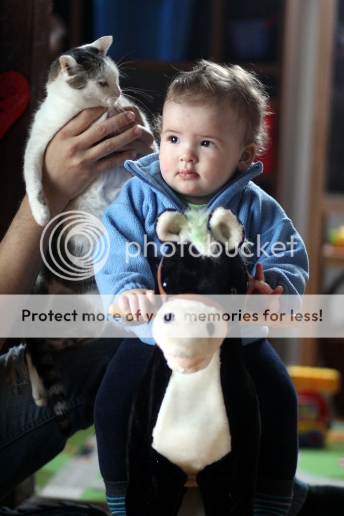 m photo IMG_7697_zps78f29848.jpg