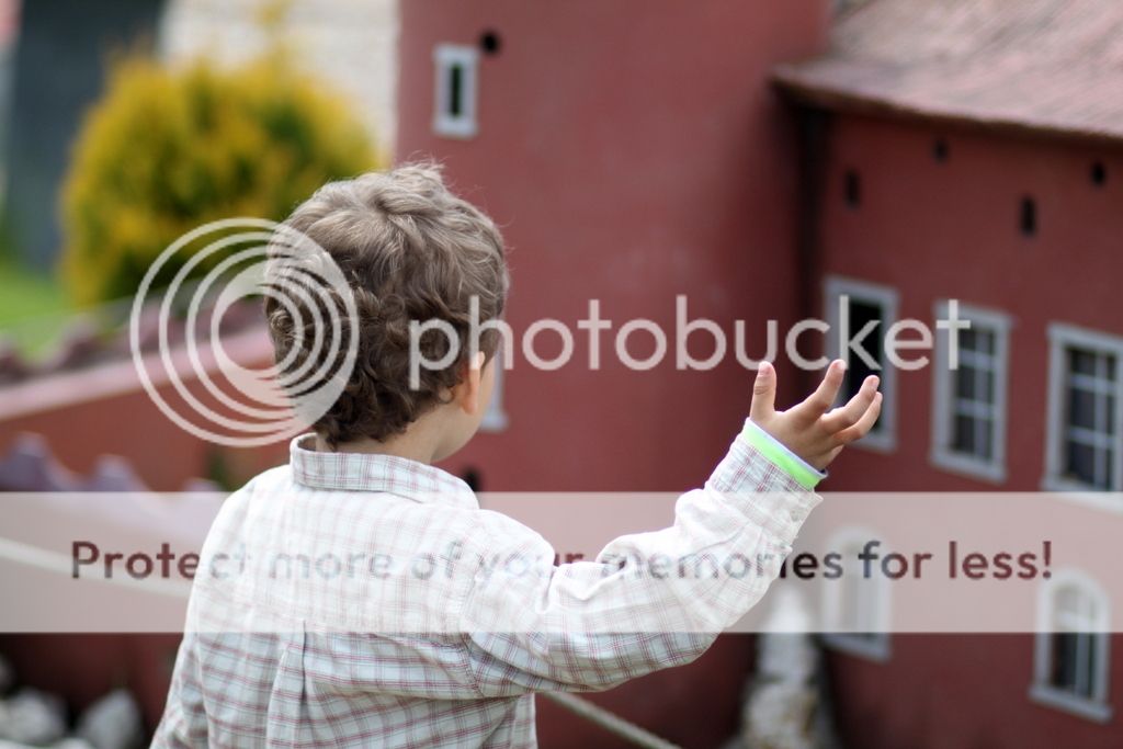 photo IMG_7749_zpsja3xcq9m.jpg