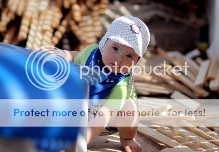 m photo IMG_8334_zps3982031d.jpg