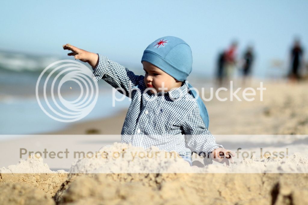 m photo IMG_8500_zps622bc734.jpg