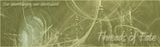 ThreadsofFateBannerLogoFinal.jpg Threads of Fate Banner Logo Final image by Unstylish
