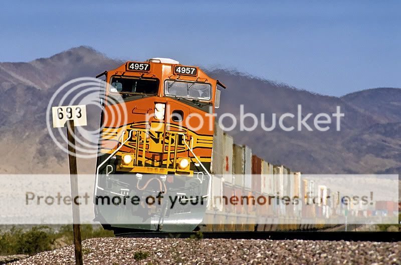 4957.jpg