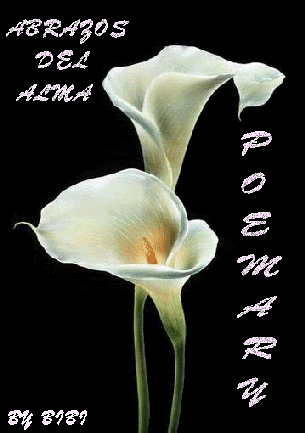 POEMARYABRAZOS.gif Poemary abrazos del alma image by engelceltic