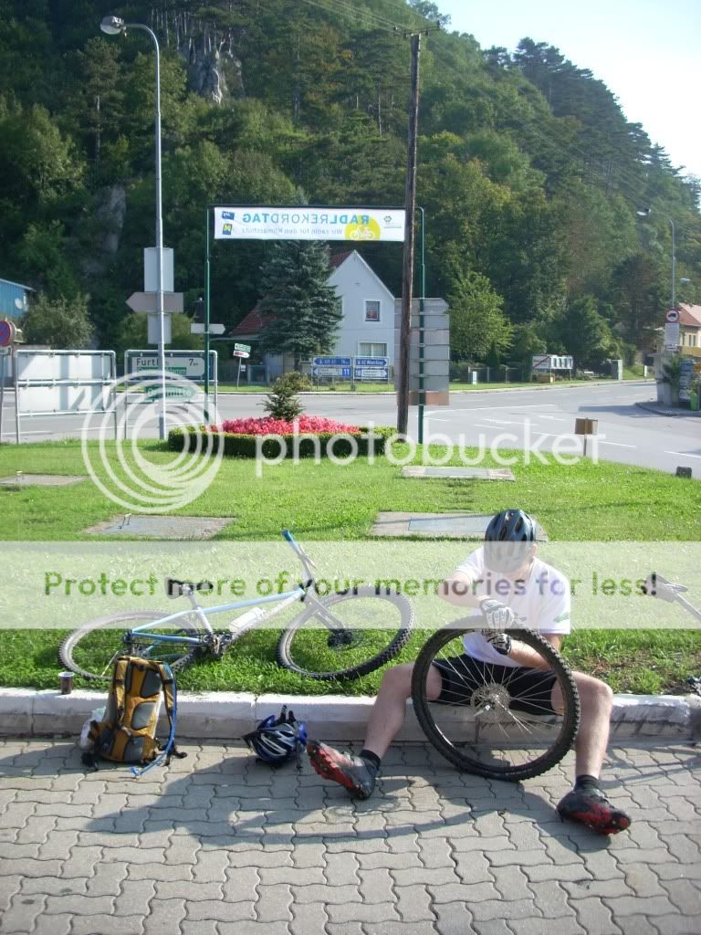 Wien singlespeed