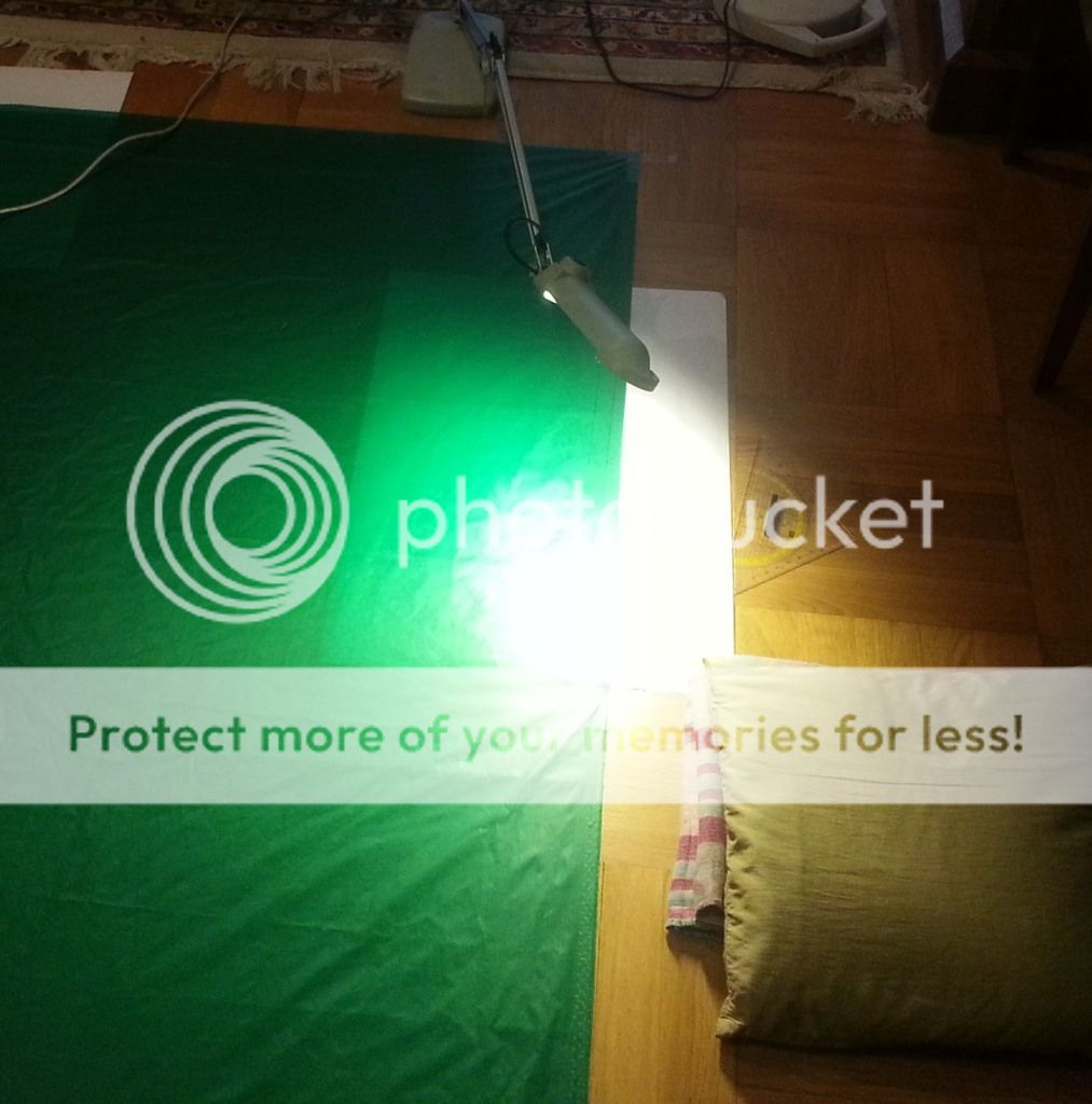 tarp%20cat%20cut%20bogen%20uumlbertragen