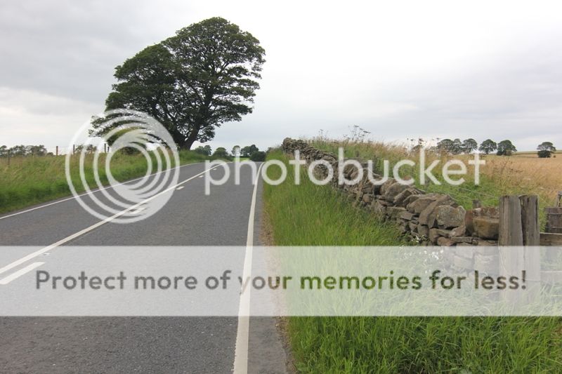 photo IMG_7614_zpsk3hgkw7t.jpg