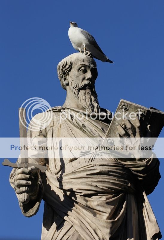 photo rIMG_7798_zps1hxokwej.jpg