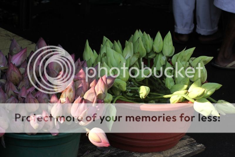photo rIMG_5892_zps3cd2d6f0.jpg