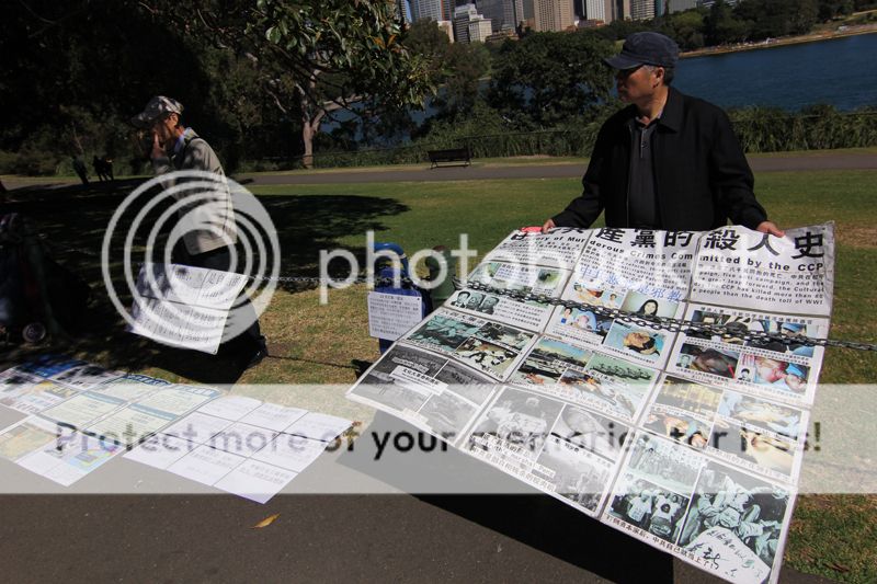 photo resIMG_6016_zps936c45ae.jpg