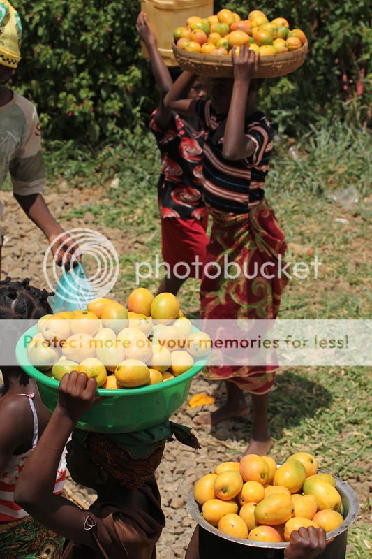 photo resIMG_8074_zpsba4c0ceb.jpg